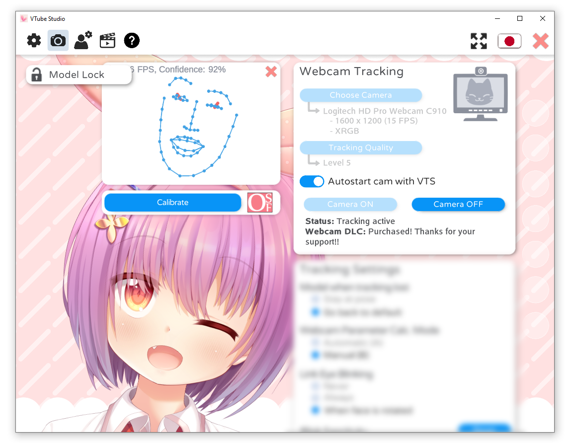 Windows端面部追踪设置1